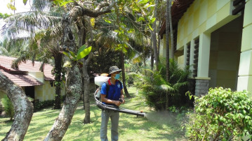 Dịch vụ kiểm soát mối