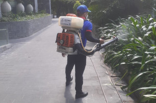 Tác hại và biện pháp phòng chống Ruồi