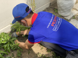 Pestpro tìm đồng đội