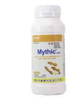 MYTHIC 240SC Hoá chất diệt và phòng chống mối công trình